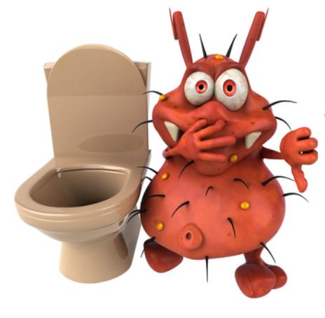 La gastro ou la tourista!  Que faire?