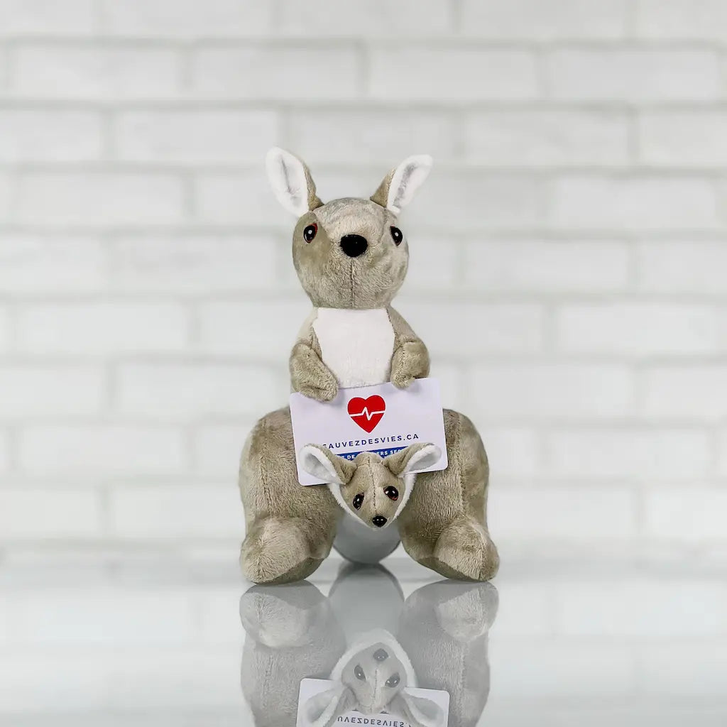 Formation en ligne Tamalou SuperMedic - cours RCR et etouffements pour bebes destine aux nouveaux parents
